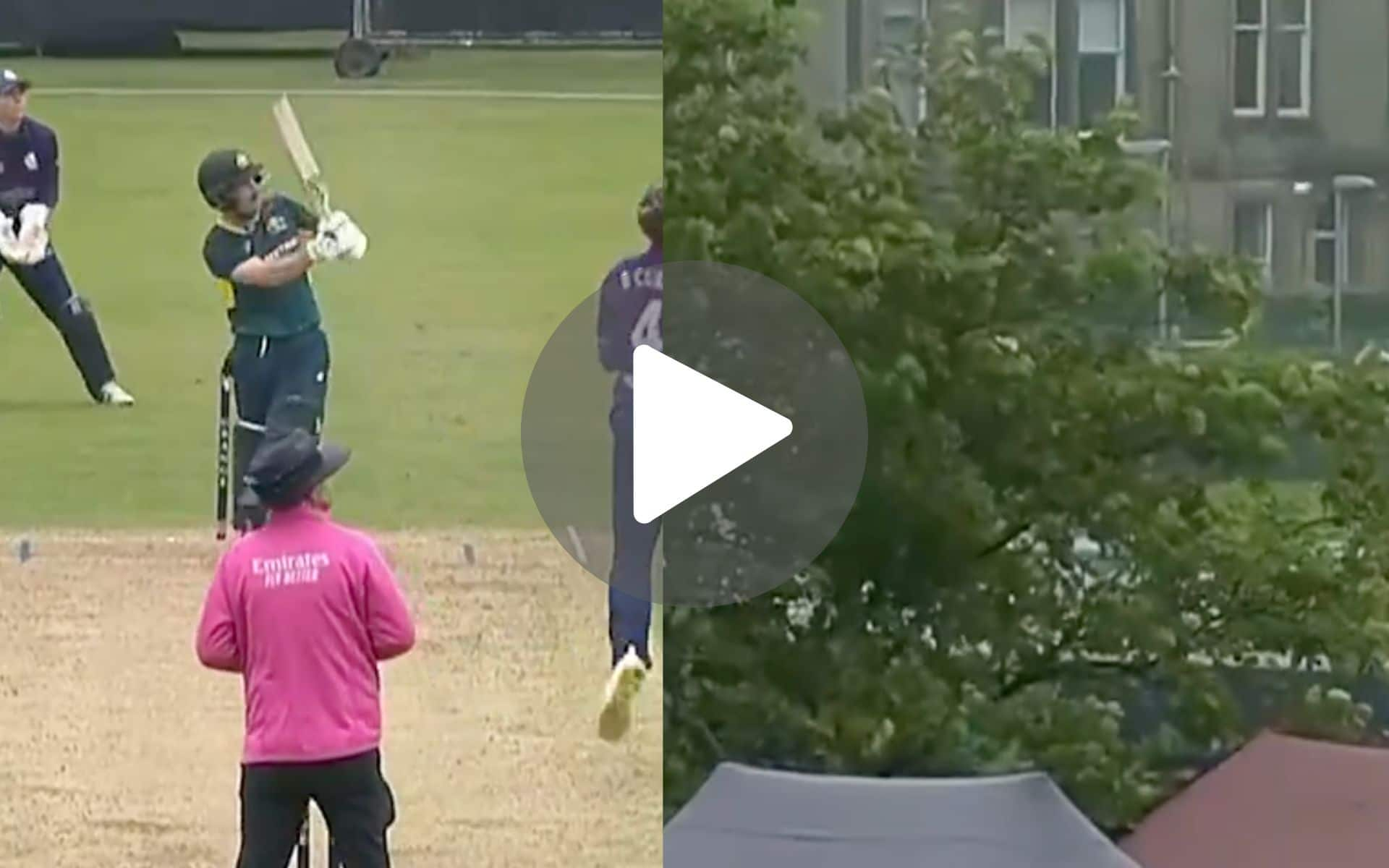 [Watch] 6,6 - Josh Inglis Hammers Scottish Bowler To Bring Up The Fastest T20I Hundred For Australia